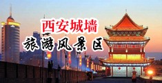 群交尻屄中国陕西-西安城墙旅游风景区